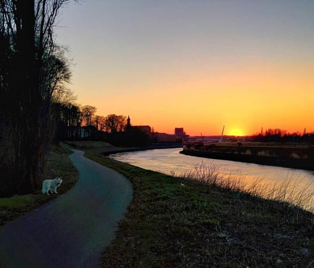 B&B Close2Ghent Heusden エクステリア 写真